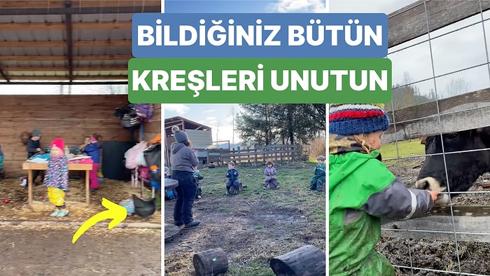 Bildiğiniz Bütün Kreşleri Unutun! Doğanın İçinde Hayvanlarla Birlikte Ders Yapılan Bu Okula Bayılacaksınız