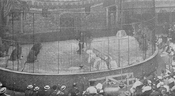 Fakat 31 Temmuz 1904 yılında korkunç bir olay yaşandı. Jack Bonavita, Moulin Rouge'da açılış gösterisi yaparken aslanlardan biri birden kendisine saldırdı.