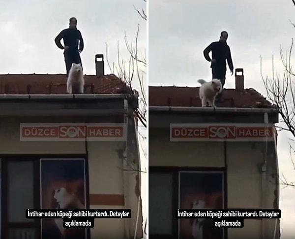 İnsan dostuna küstüğü için çatıya çıktığı belirtilen köpek, kendisini kurtarmaya gelen itfaiye ekiplerini de yanına yaklaştırmadı. İnsan dostunun gelmesiyle köpek çıktığı 2 katlı binanın çatısından indirildi.