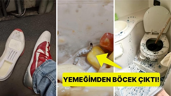 Çöle Düşse Kutup Ayılarıyla Karşılaşıp Birtakım Tatsız Olaylar Yaşayabilecek Bahtsız Kişiler