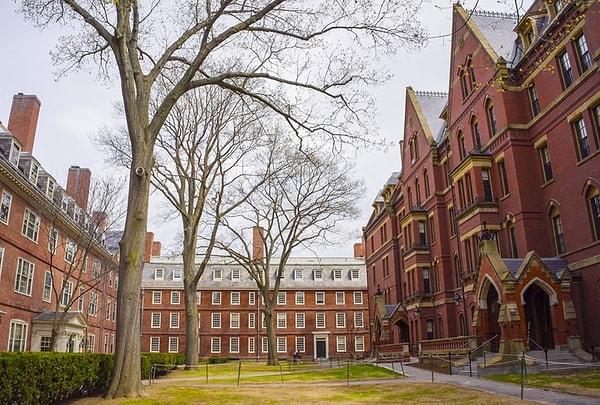 Herkesin yararlanabileceğini kurslar sunan Harvard, akademik ve mesleki 7 kurs açtı.