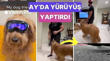 Ayda Yürüyüş Yaptırdı: Bir Sosyal Medya Kullanıcısı Sanal Gerçeklik Gözlüğünü Köpeğine Denetti