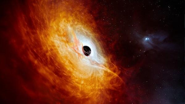 Yale Üniversitesi'nden Priyamvada Natarajan ise kuasarın daha önceden yanlışlıkla yıldız olarak sınıflandırılmasının ve uzun süre gözden kaçmış olmasının, keşfin heyecan verici yönlerinden biri olduğunu belirtti.