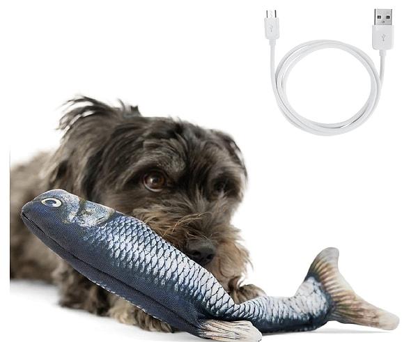 12. Disket Balık Köpek Oyuncağı - Hareketli Kuyruklu İnteraktif Köpek Oyuncağı