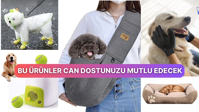 Köpeğinizin Kuyruğunun Sevinçle Sallanmasını Sağlayacak 15 Şey