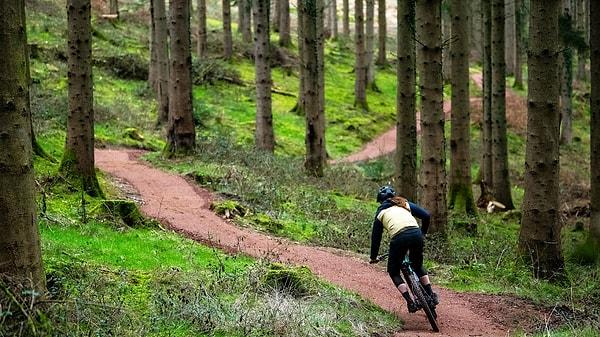 Ormanda bisiklet sürebilirsin!
