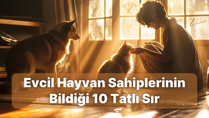 Sadece Evcil Hayvan Sahiplerinin Bildiği Tatlı Sırlar