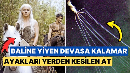 Kameralar Kaydetmese Gerçekliğine İnanamayacağınız Derecede Absürt 15 Olay