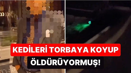 Aydın'da Bir Otelde Kedileri Torbalara Koyup Öldüren Gece Müdürünün İşine Son Verildi