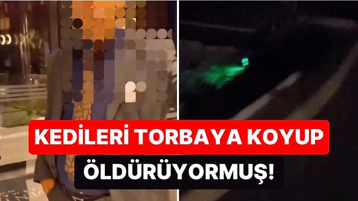 Aydın'da Bir Otelde Kedileri Torbalara Koyup Öldüren Gece Müdürünün İşine Son Verildi