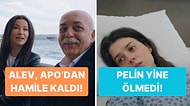 Alev'in Apo'dan Gebe Kalmasından Dilber Dansı Yapan Kadına Televizyon Dünyasında Bugün Yaşananlar