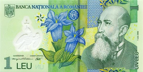4. Rumen Leyi'nin banknotlarına ve paralarına bir bakalım!