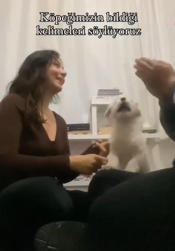 Bu akımda köpeklerinin tepkilerini ölçmek isteyen sahipleri, ilgilerini başka yere vererek dostlarının bildiği kelimelerle cümleler kuruyor.