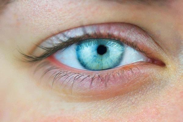 This finding supports the theory that the loss of pigmentation in the iris responsible for blue eyes might have been selected in certain populations to enhance vision in low-light environments.