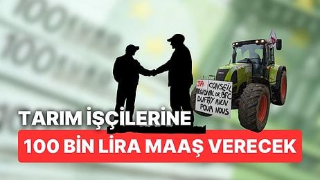 Protestolar Türkiye'ye Yöneltti: 100 Bin Lira Maaşla Tarım İşçisi Arıyorlar!