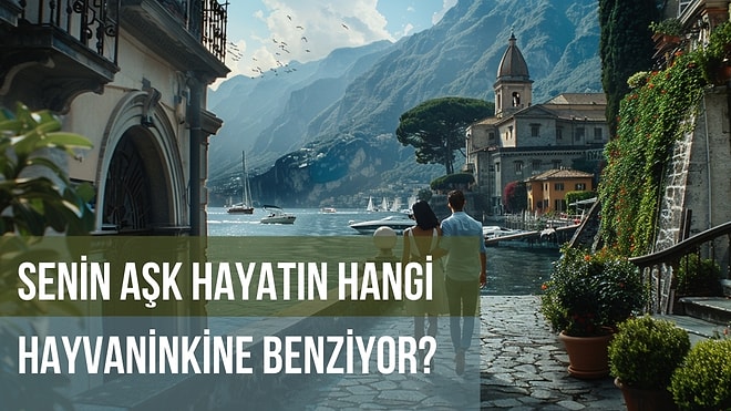 Senin Aşk Hayatın Hangi Hayvanınkine Benziyor?