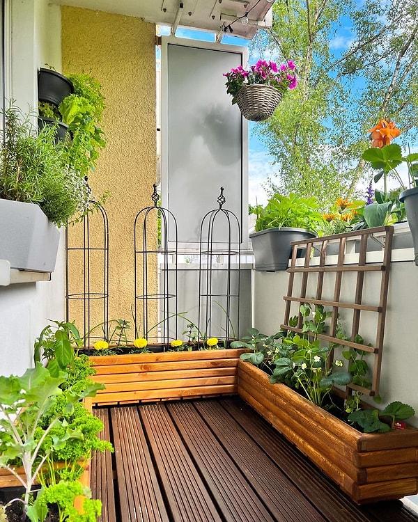 4. Balkonunuzdaki bitkileri düzenli olarak sulayın. Yorgun bitki balkonunuzun kullanım verimini azaltır.