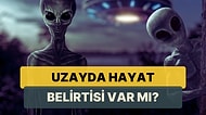 Uzaylılar Hakkın En Çok Merak Edilen Sorular Bilim İnsanları Tarafından Cevaplandı