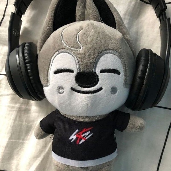 Straykidsxstay