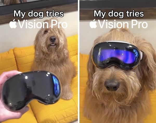 Sahibinin taktığı Apple Vision Pro ile Ay'da yürüyüş yapan köpek de kısa süre önce çok konuşulmuştu hatırlarsanız.