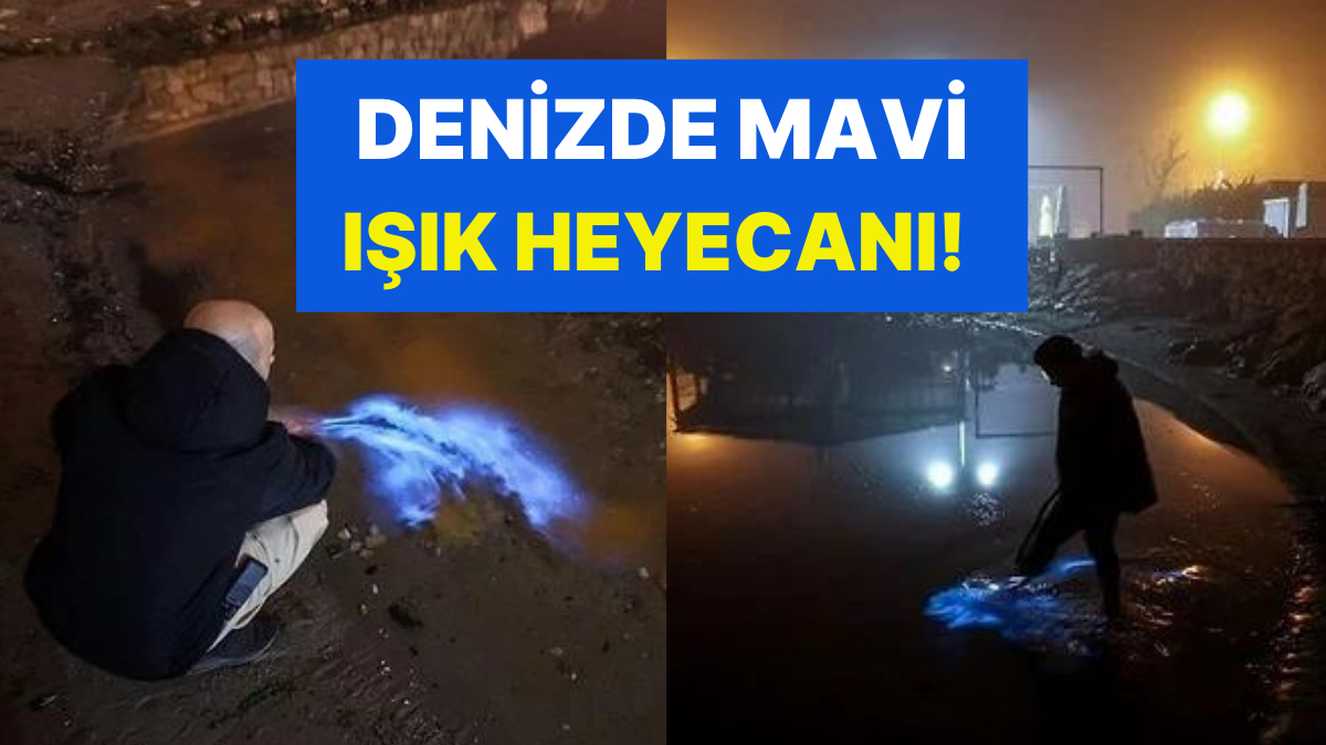 Denizin Rengi Değişmişti: Prof. Dr. Sarı, Denizde Görülen Mavi Işığın ...