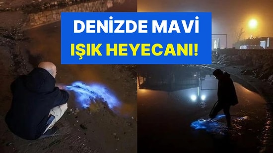 Denizin Rengi Değişmişti: Prof. Dr. Sarı, Denizde Görülen Mavi Işığın Sırrını Açıkladı