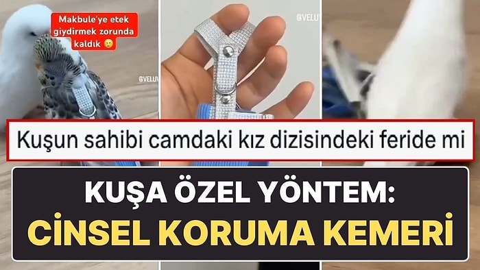 Kuşu Makbule’yi Burhan’dan Korumak İstedi, Kuşuna ‘Cinsel Koruma Eteği’ Taktı