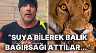 Eski Komando Katıldığı Programda Kan Donduran Köpek Balığı ve Aslan Saldırısını Anlattı