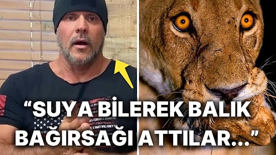 Eski Komando Katıldığı Programda Kan Donduran Köpek Balığı ve Aslan Saldırısını Anlattı
