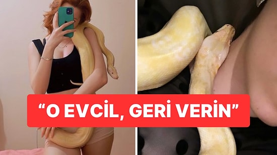 Ekipler Dairede Buldukları Yılana El Koydu, Sahibi Geri İstedi: “Onu Arıyordum, Geri Verin”