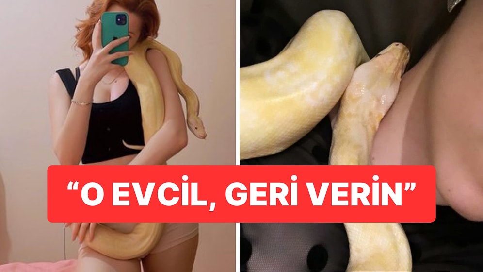 Ekipler Dairede Buldukları Yılana El Koydu, Sahibi Geri İstedi: “Onu Arıyordum, Geri Verin”