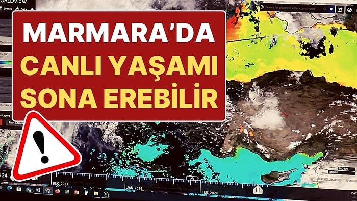 Marmara Denizi'nde 'Oksijen' Alarmı: Tedbirler Alınmazsa Canlı Yaşamı Sona Erebilir!