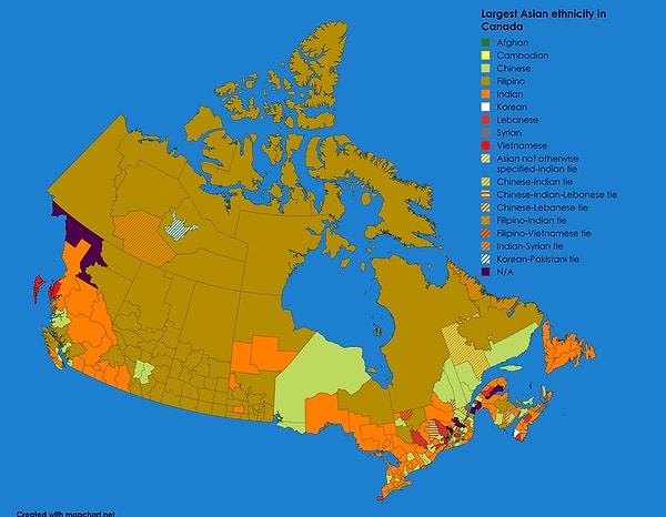 6. Kanada'daki farklı Asya etnik grupları: