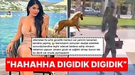 İddialı Paylaşımlarıyla Meşhur Ebru Polat'ın Son Videosundaki "At Gibi Kadınım" İması Dillere Fena Düştü!