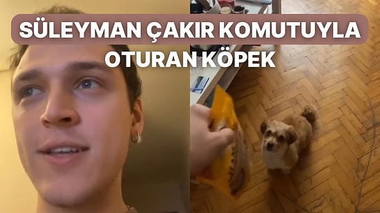 Henüz Komutları Yeni Öğrenen Tatlı Köpeğin ‘Süleyman Çakır’ Komutuyla Oturduğu Komik Anlar