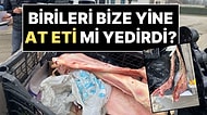 Düzce'de Akıllarda Soru İşareti Bırakan Olay: Çöp Konteyneri İçinde At Kemikleri Bulundu!