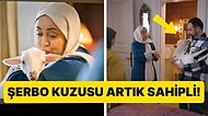 Kesilmeyecek: Kızılcık Şerbeti Ekibi, Dizideki Kuzu Beyaz'ı Sahiplendi!