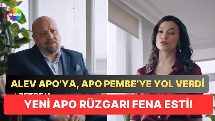 Yeni Apo Fırtına Gibi: Kızılcık Şerbeti'nde Pembe'ye "Boşanalım" Diyen Apo, Alev'den Veto Yedi!