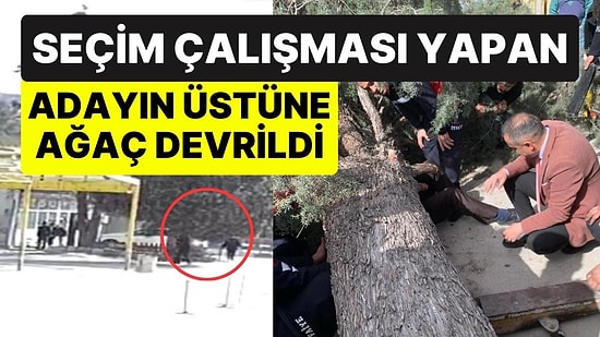 Seçim Çalışması Yapan Adayın Üstüne Ağaç Devrildi: Saadet Partili Aday ve Oğlu Güçlükle Çıkarıldı