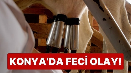 Konya'da Feci Olay: İneği Sağmak İsterken Elektrik Akımına Kapılıp Öldü