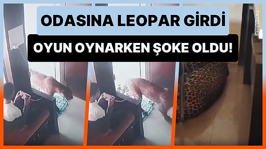 Oyun Oynarken Odasına Giren Leopar Girdi: Leoparı Gören Çocuk Şoke Oldu!