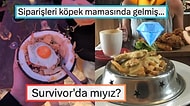 Lüks ve Pahalı Restoranların Masaya Geldiğinde Hayatı Sorgulatacak Göz Kanatan Sunumları