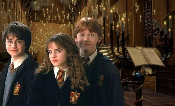 İngiliz yazar J. K. Rowling'in kaleme aldığı fantastik romanlardan sinemaya uyarlanan Harry Potter serisi dünya çapınca bir ün kazandı.