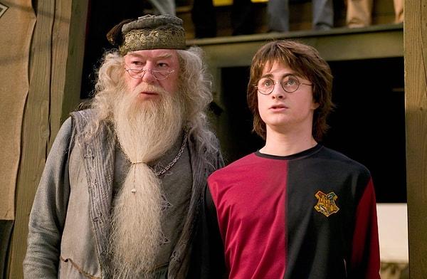 Bununla kalmadı ve hayatımızın unutulmaz filmleri arasına girmeyi başardı. Dünyanın en ünlü serilerinden olan Harry Potter'da Albus Dumbledore karakterine hayat veren İngiliz-İrlandalı aktör Michael Gambon herkes tarafından çok sevildi.