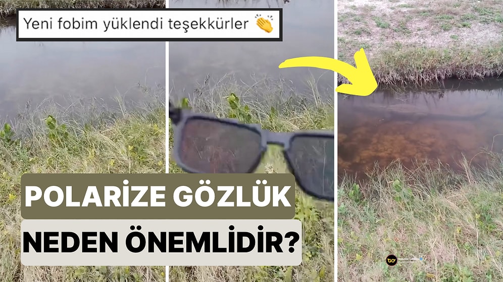 Doğadaki Yürüyüş Sırasında Gözlüğü Sayesinde Göldeki Timsahı Fark Eden Adam Polarize Gözlüğün Önemini Gösterdi