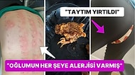 Çöle Düşse Kutup Ayılarıyla Karşılaşıp Birtakım Tatsız Olaylar Yaşayabilecek Bahtsız Kişiler
