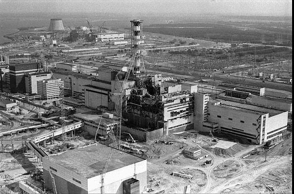 Bu solucanların 1986'daki nükleer felaketin ardından sürekli radyasyona maruz kalmalarına rağmen Çernobil'de yaşamaya devam etmeleri bilim dünyasında büyük ilgi uyandırdı.