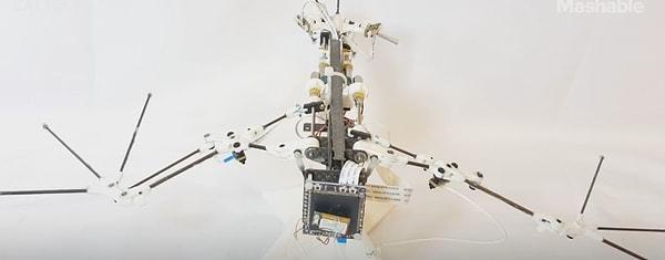 Yarasaların temel uçuş mekanizmaları artık, Caltech ve Urbana-Champaign'deki Illinois Üniversitesi'nden araştırmacılar tarafından geliştirilen, yumuşak, mafsallı kanatları olan, insansız bir robotik yarasa olan Bat Bot ile benzeri görülmemiş bir doğrulukla yeniden yaratıldı.