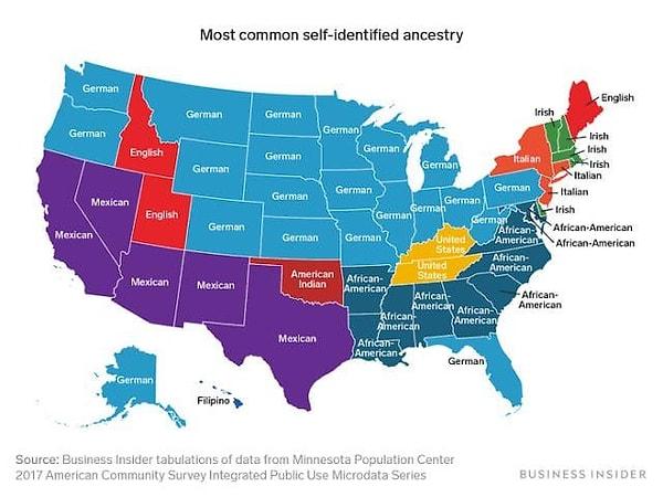 3. ABD eyaletlerindeki etnik soy dağılımı.