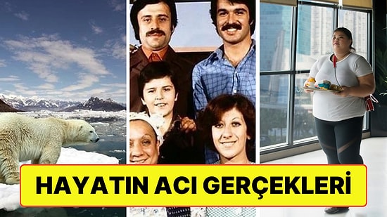 Kimsenin Kabul Etmek İstemeyeceği Hayatın Acı Gerçekleri Kalbinizi Paramparça Edecek